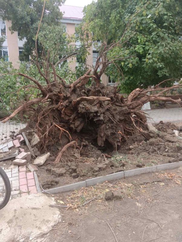 ��� ��� ��������� � ���������� ����� �����