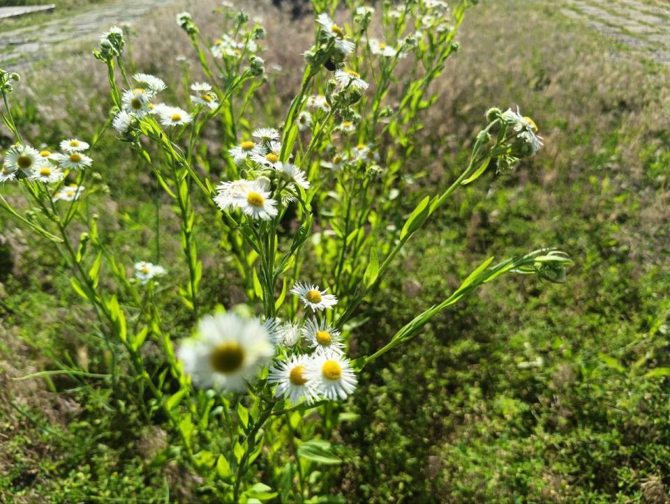 ��� �������� ��������� ����� �� ����� �� � ��, �������, 17 ����, ��������� ���������� ����������, ������� ��������������� �����