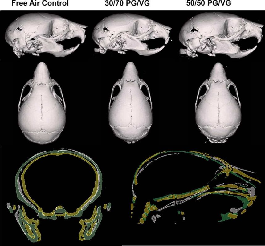 ���� ��� �������� ����� ����� ���� ������ ��� ������������