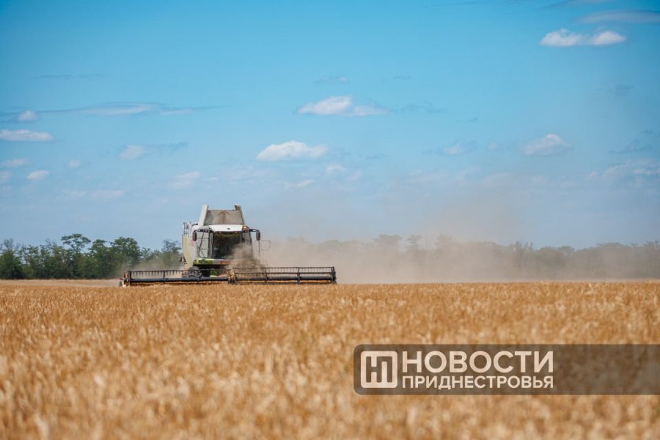 � �������� ���� ������� ������ 43% ����� �������� � ������������