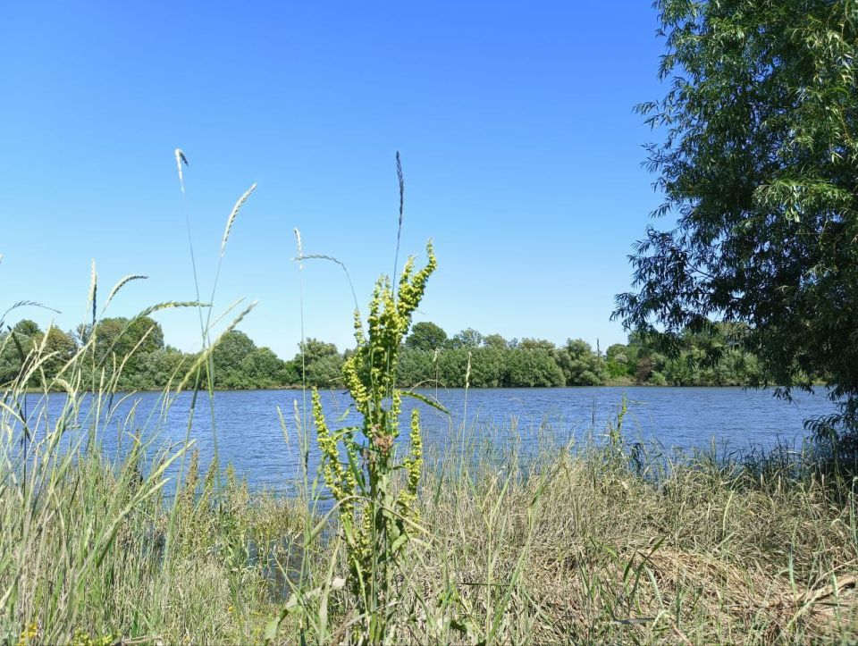 � ������ � ������������� �������