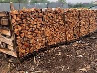 В Каменке рассказали о порядке обеспечения льготников дровами