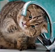 В августе в Днестровске почти на две недели отключат горячую воду