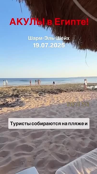      ,    :        --    