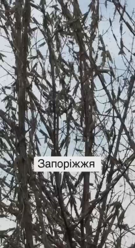   .      