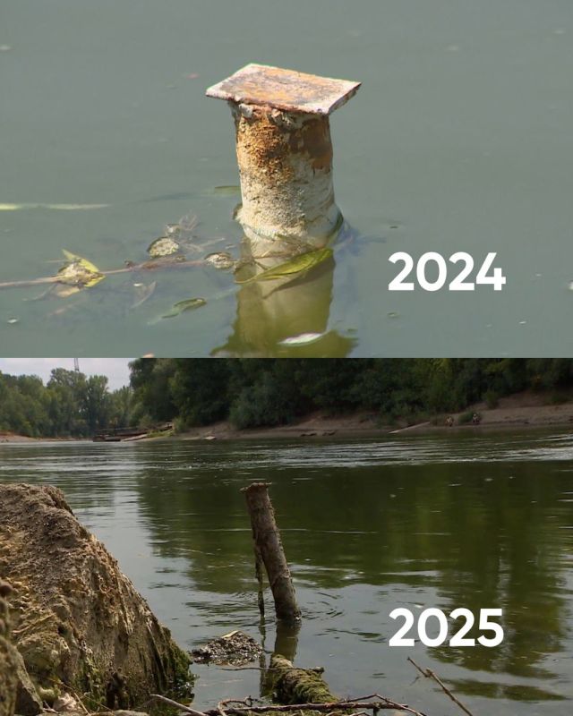             ,     