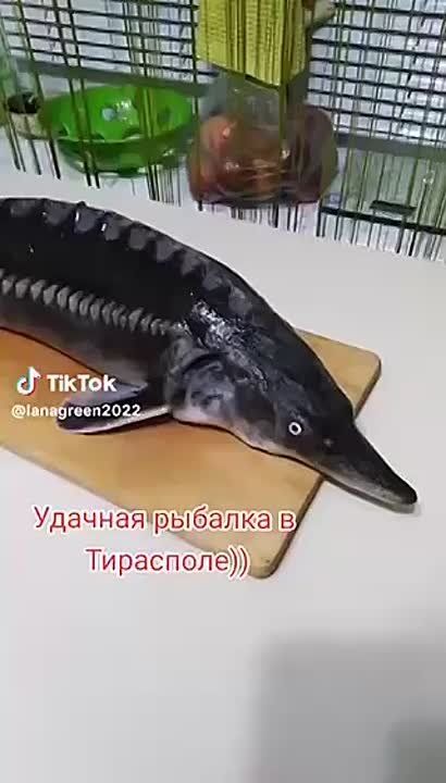            ,   ,    