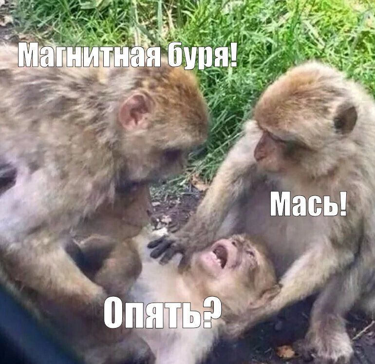   !.   , 23     