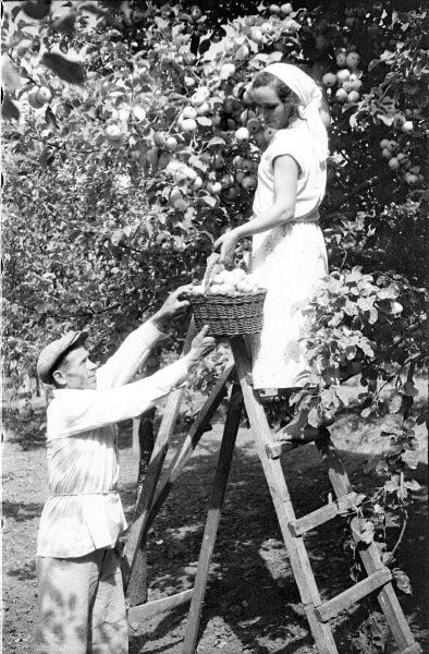  . ,  . , 1937 