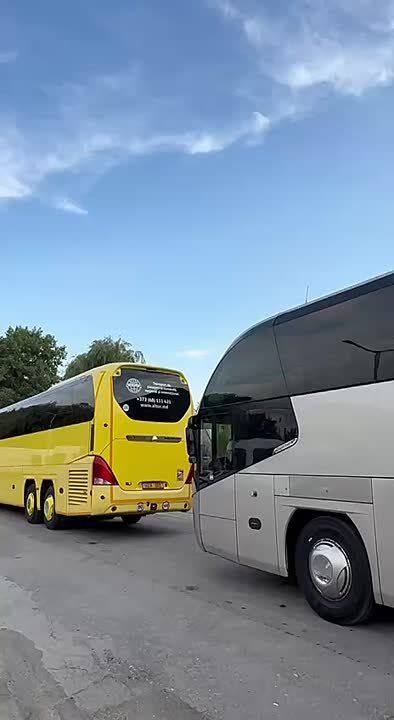        :  ,    