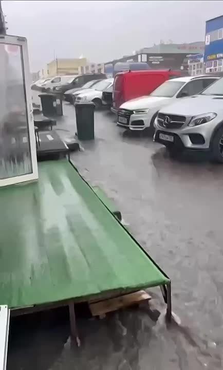    ,                   
