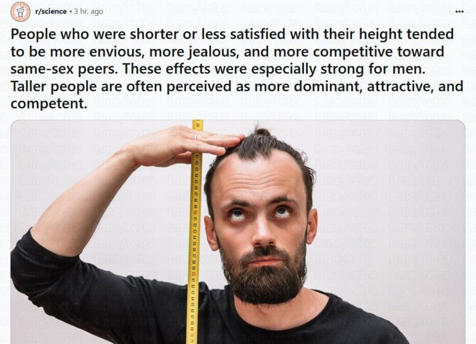  ,       ,     