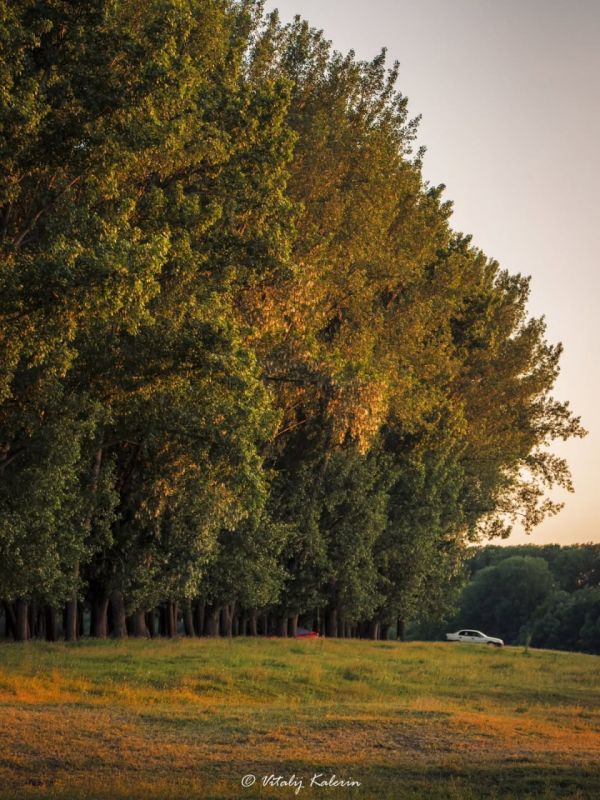 ������ ������ �� ������ �� ������� ������� ��������