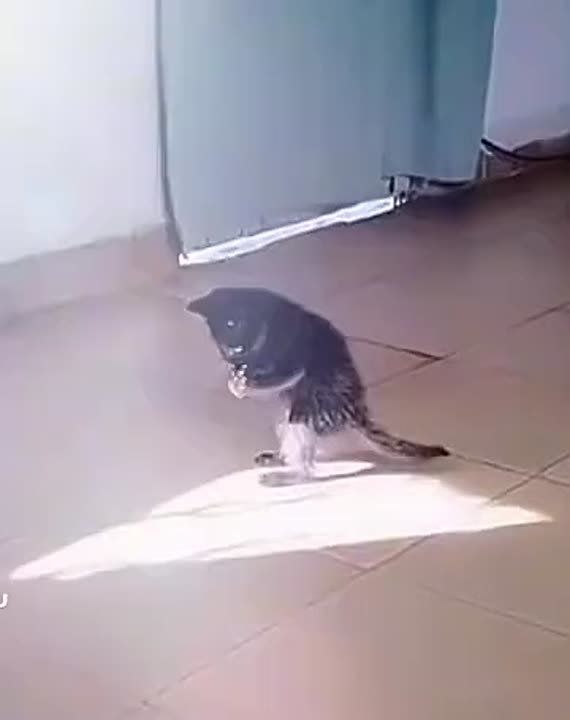   +40