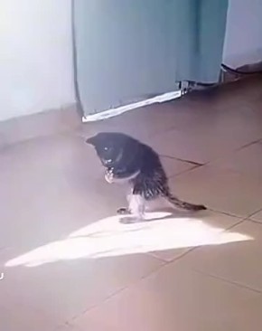   +40