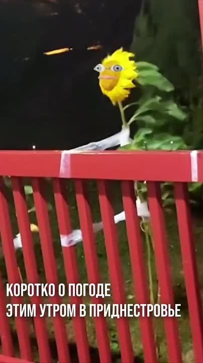       :