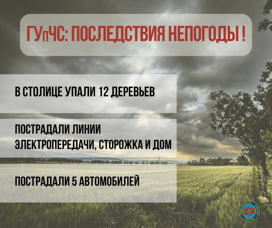 � ��������� ����� ������� ������ ����� 12 ��������, ���������� 5 ����������� � ����� ���������������