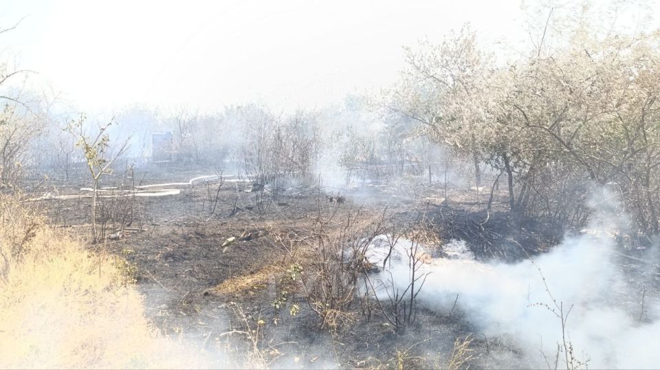 �������� � ��������� ������ ������ �������