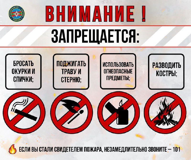 ����� ����������: � ��� ����� ������ ��������������� �����