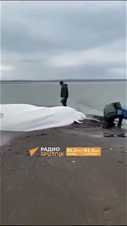-     5   