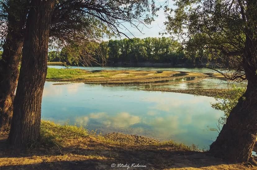 ������ ������� ���� � �� ���������