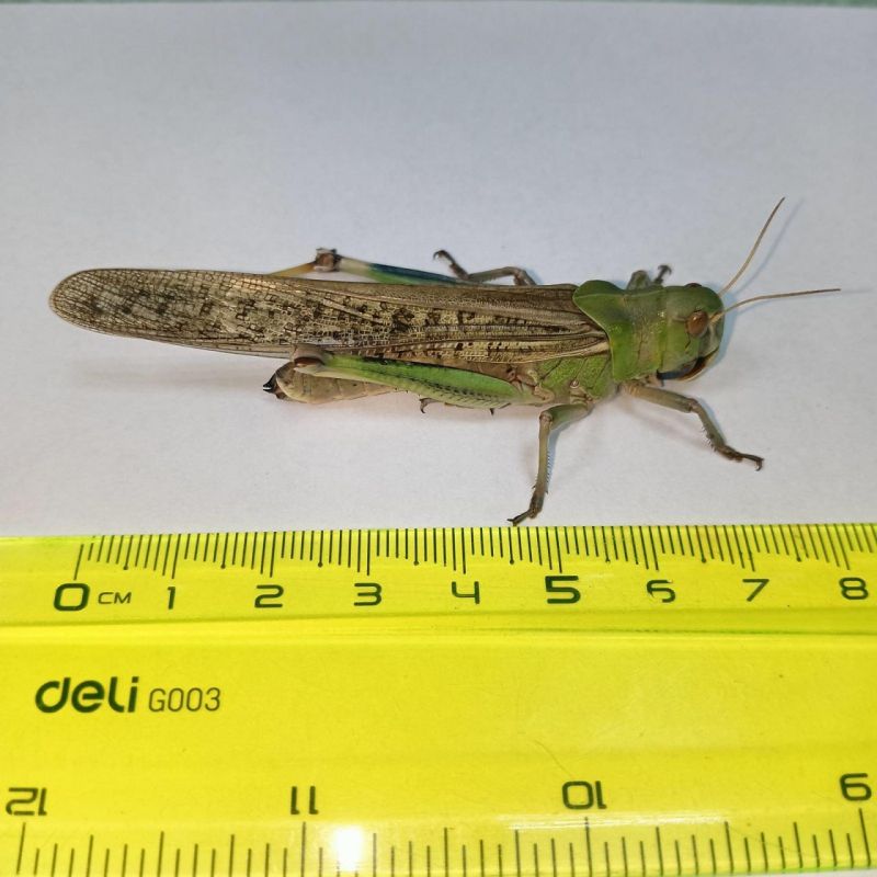 ��������� ����� �������� ����������� �������� ��������: �������, ������� ��� ���� �������� � ������������� - ��� �� ����� �������, ������� ���������� ������ � �������