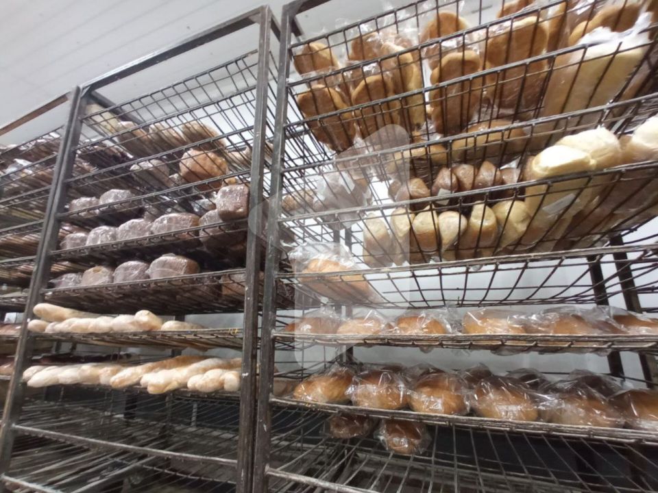 ���� �� ���� ������� ������� � �������� ����������� ����������� ���� ���� ��������