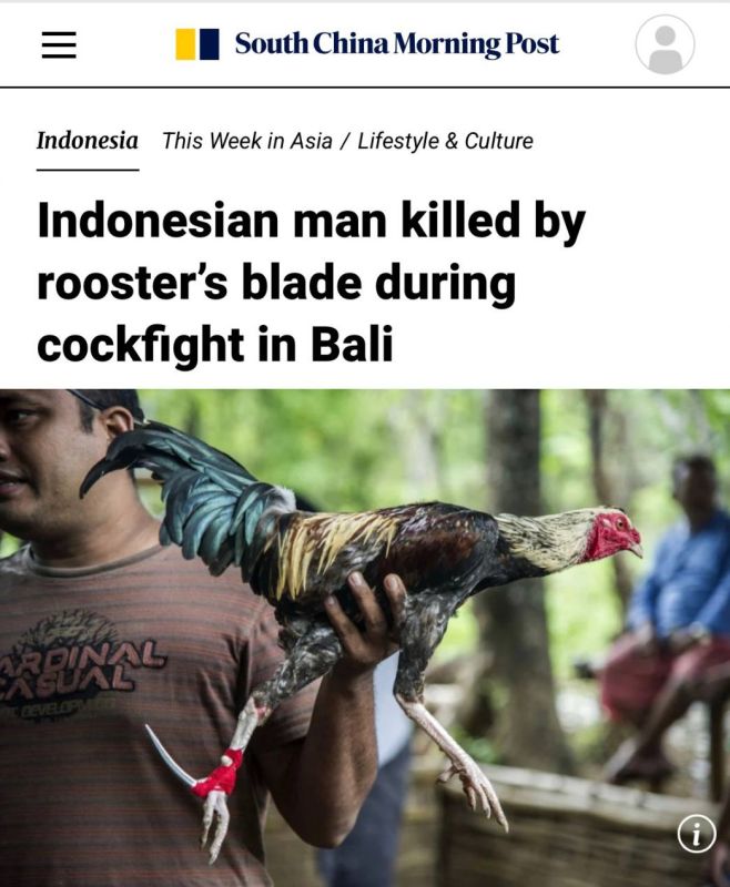           : ,      ,   