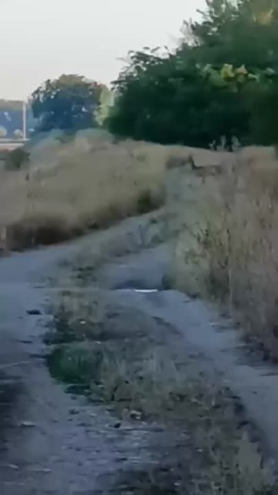,   ,    