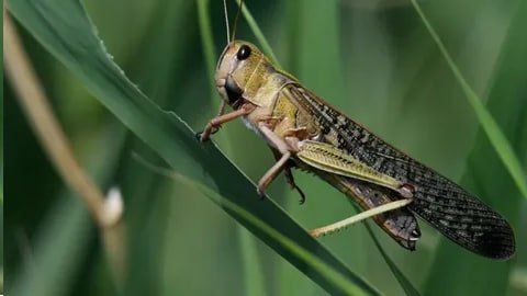 ���������� ���������� ������������� � ������� ����� ��������� ������� ��-�� ����