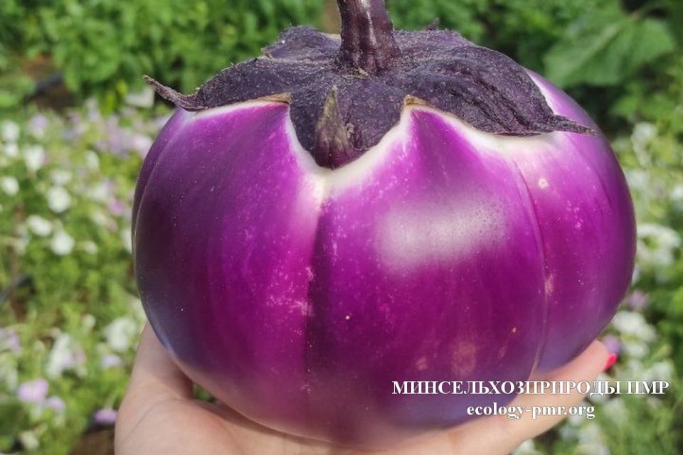 ��� ����� ��������� ������ � ��������������� ��� � ������� ����� � ���������