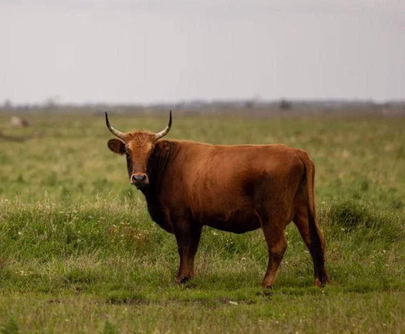 10-������ ������� ������� ��� � �������: ��� � ��������