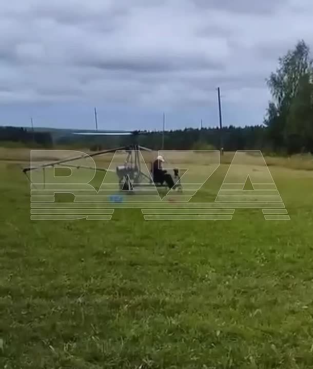 ,  :       