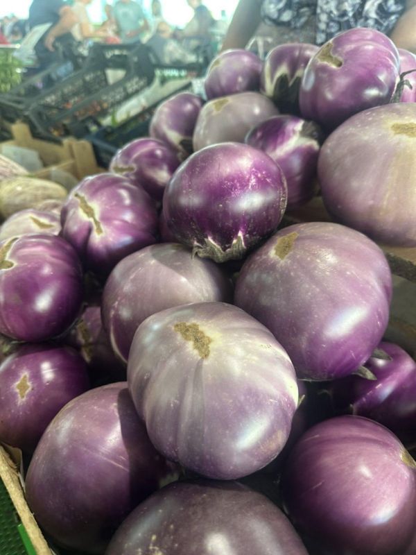 ����� ��������� ����� �� 25 ������ ��������� �� ����