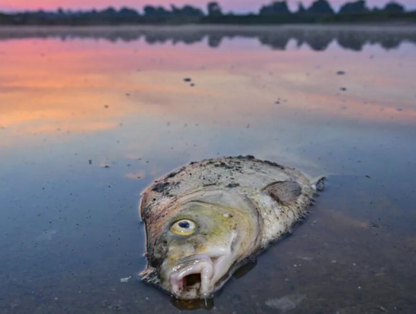 ��� ��������� ������������� ���������� � ������� ��������� ����� ����������� ����