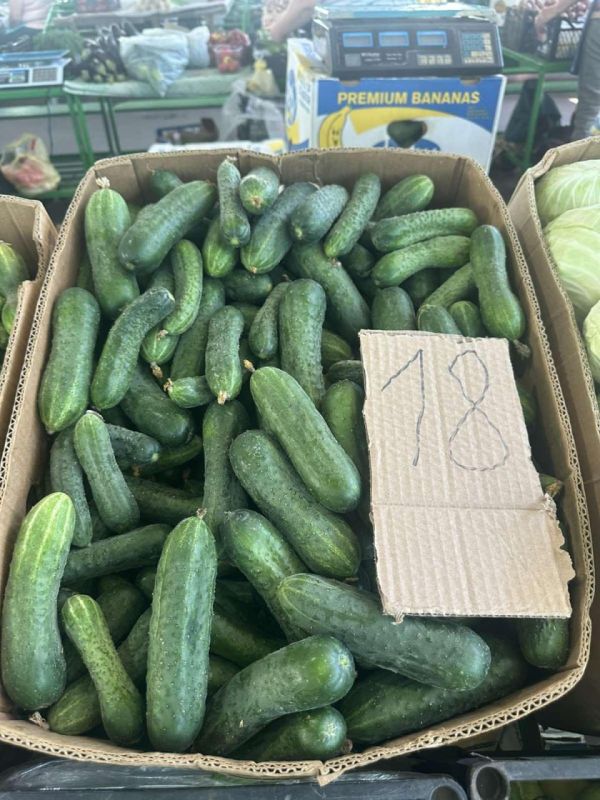 ��� ����� ������� �� ���� ������ ������