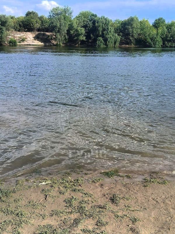 8-������ ������� ���� �� ������� �� ��������� ����� ���������