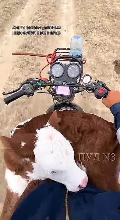     :