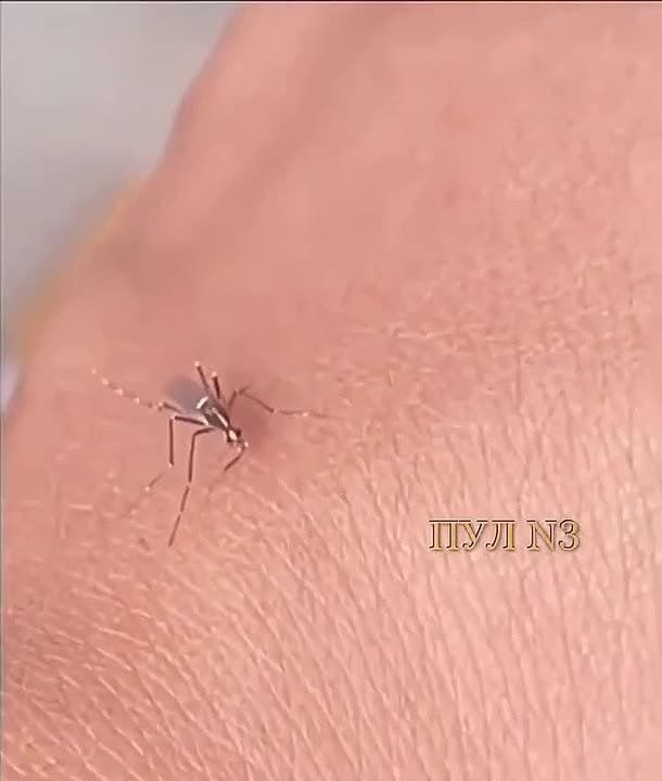    :     ,    -           