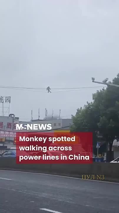      :              