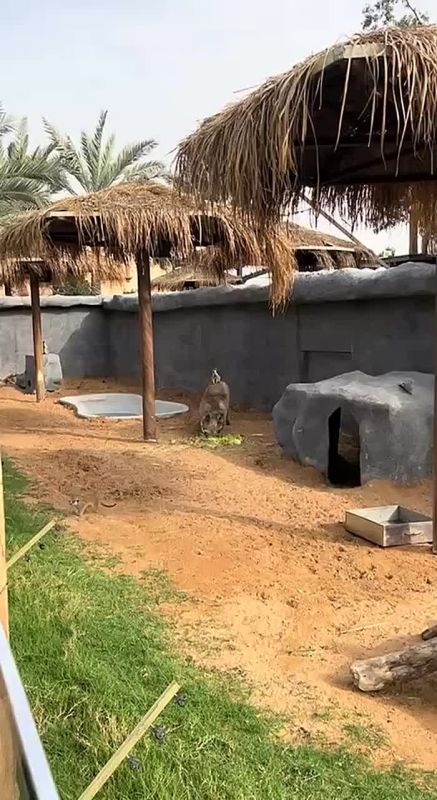    :       ,    