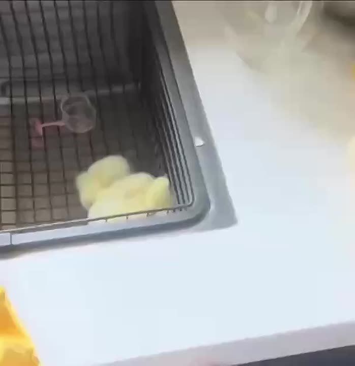     ,      :       