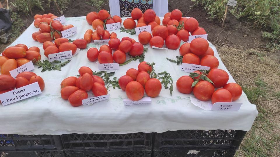 � ��������������� ��� ��������� ��������� ������� ����� ������� ��� ��������� ������ � ������������, �������, ���������� � �������� � ������