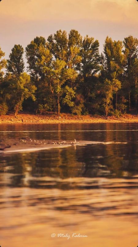 ������ �� ������ � � �� �����