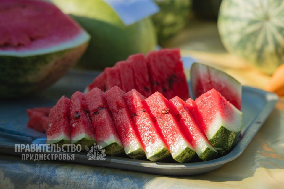 ��� � ��������� ������� ����������� ����� � ��������� ������ ��������� � 2028 ����