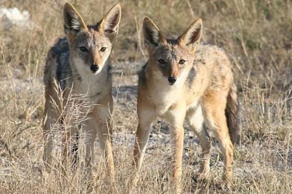 � ������������� ������� ����� ������, �� ������� �� �� �����, ��������� ��������� ��������� �������������� �������� ������� ��������