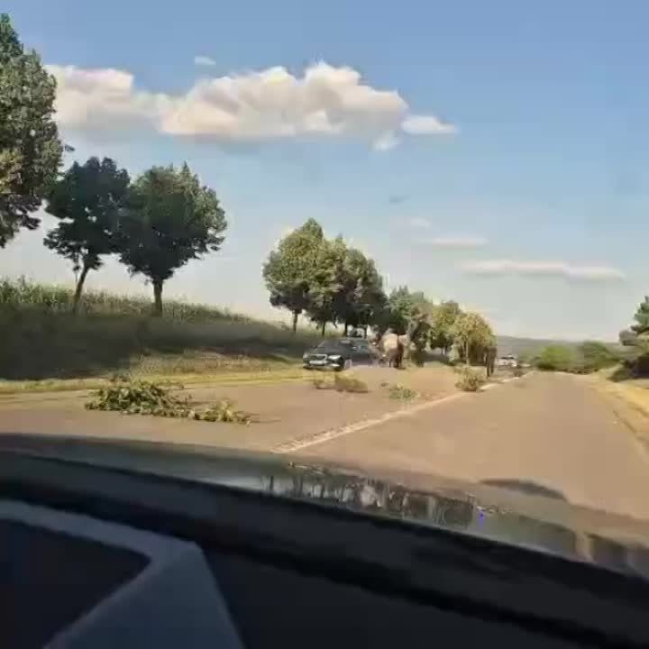   -  