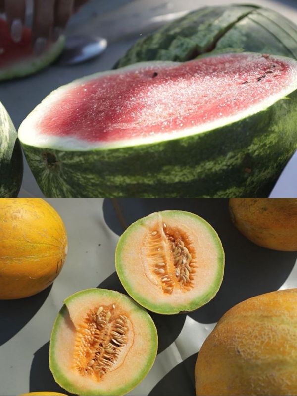 ����� ����� ��� ������� � ���� � ��������� �������: ������������ �� ���������������� ��� �������� ��� ���������� ����� ������