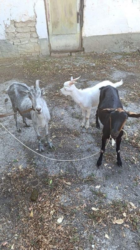 � �������� � ������������ ��������� ���� ��� � �������