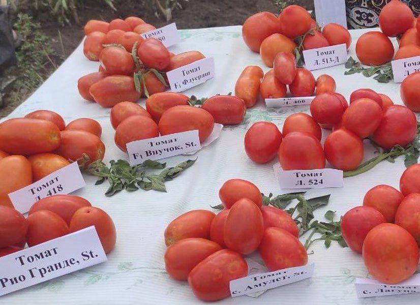 � ��������������� ��� ��������� ��������� ������� ����� ����� � ������� ������� � ��� ������� ����������� � ���������������